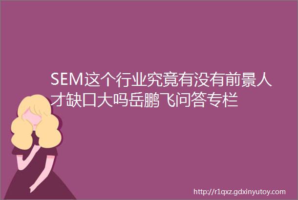 SEM这个行业究竟有没有前景人才缺口大吗岳鹏飞问答专栏